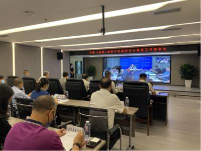 中國（成都）知識產權保護中心通過國家知識產權局驗收，助力信息技術咨詢服務發展